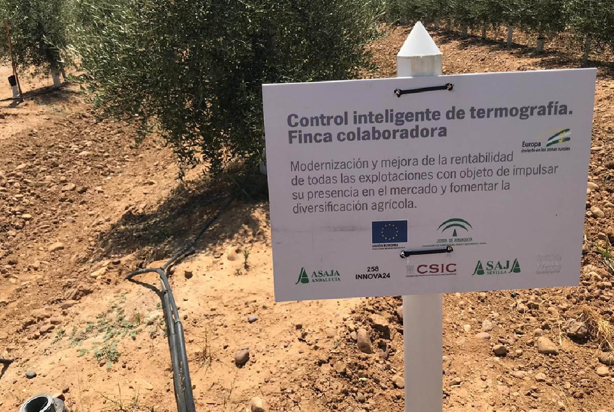 TRES FINCAS DEL VALLE INFERIOR ACOGERÁN PRUEBAS DEL PROYECTO CIT LIDERADO POR ASAJA-SEVILLA