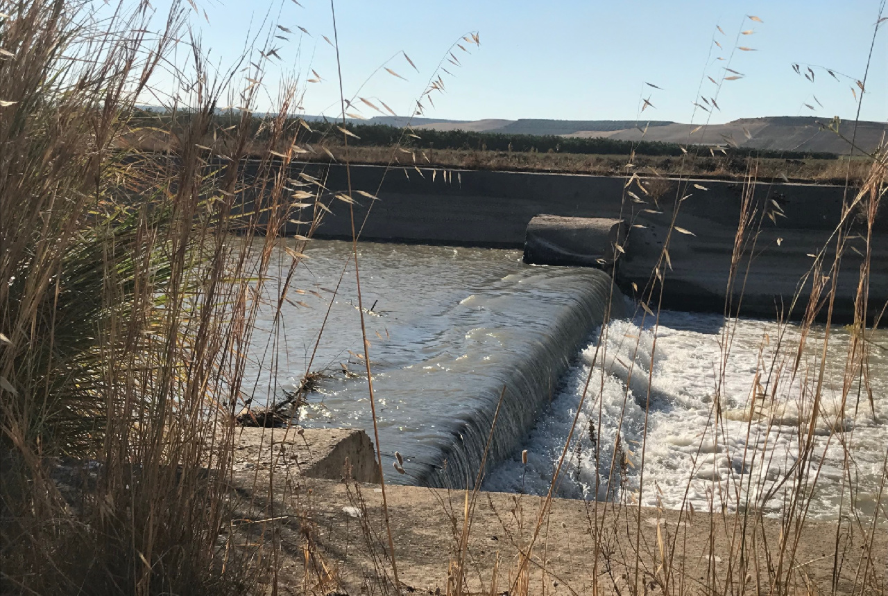 Extremamos precauciones ante la alarma por coronavirus