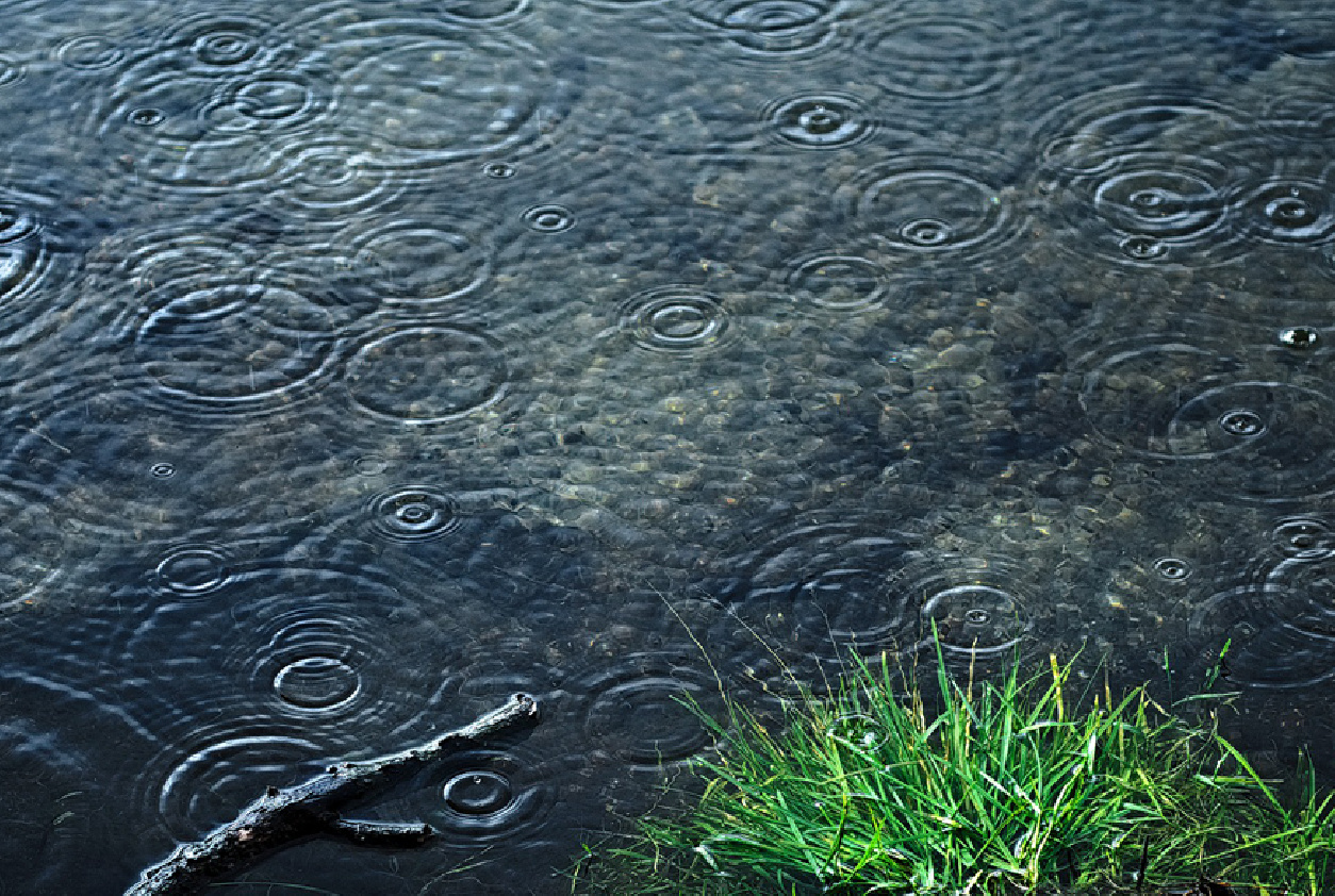 LAS ÚLTIMAS LLUVIAS NO CAMBIAN LA SITUACIÓN HIDROLÓGICA, QUE AUGURA UNA CAMPAÑA DURA