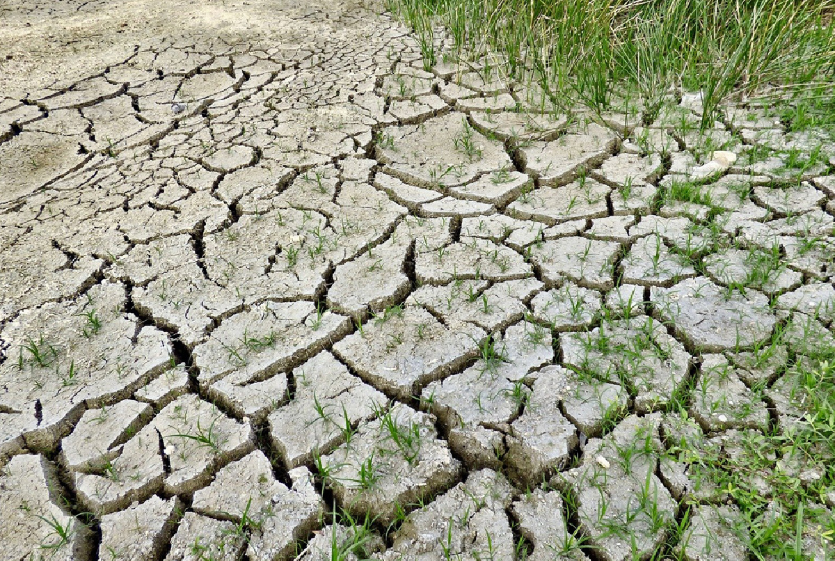 ¿CUÁNDO FUE LA ÚLTIMA VEZ QUE TUVIMOS RESTRICCIONES DEL 50%?