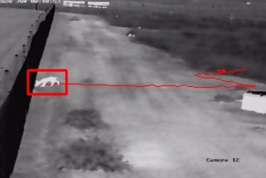 LAS CÁMARAS DE VIGILANCIA DE NUESTRA PLANTA SOLAR CAPTAN UNA ESCENA QUE BIEN PODRÍA PERTENECER A UN CAPÍTULO DE 'EL HOMBRE Y LA TIERRA'