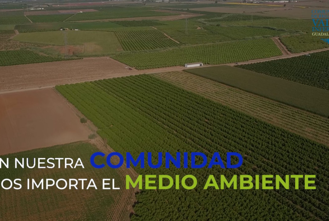 CELEBRAMOS EL DÍA MUNDIAL DEL MEDIO AMBIENTE