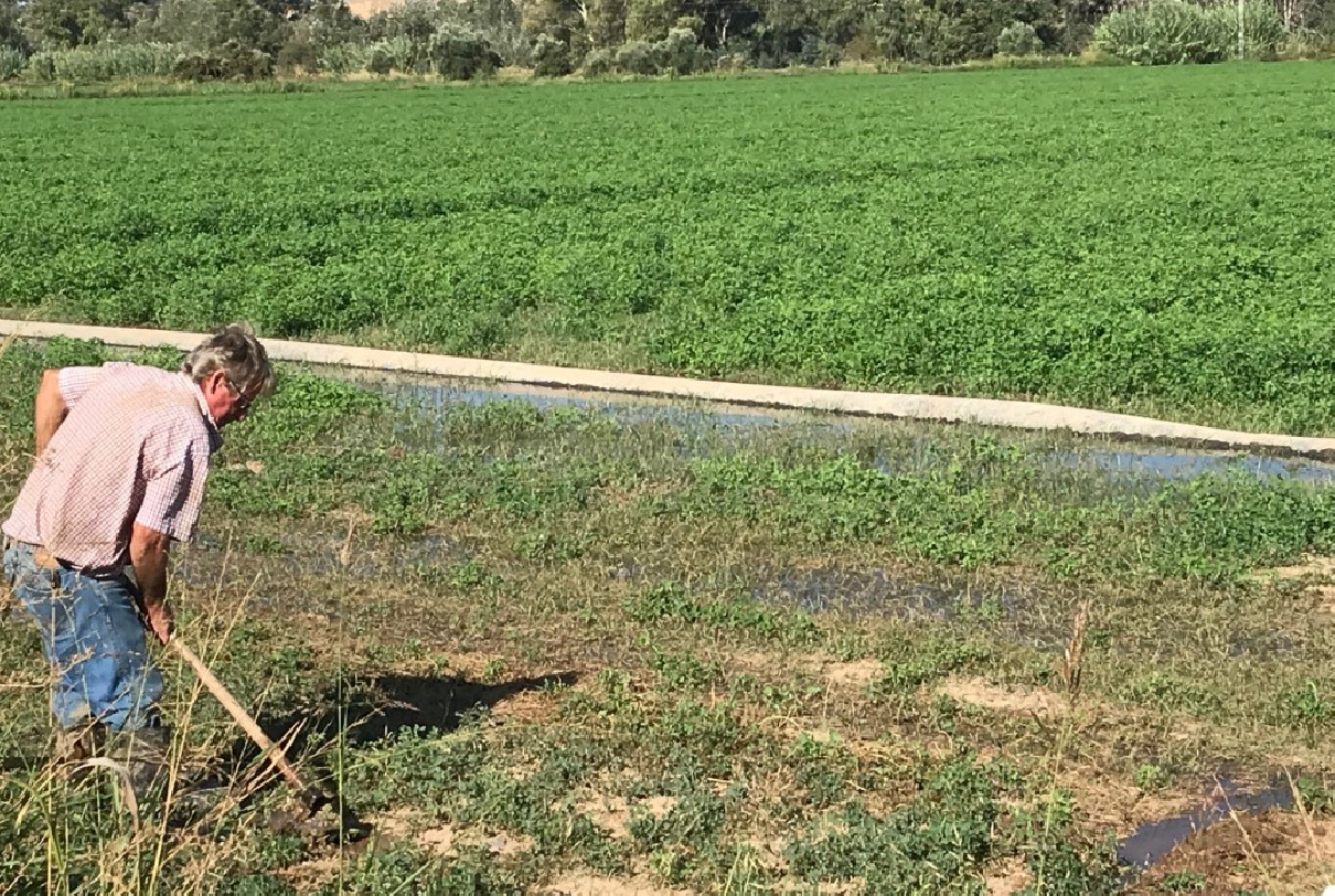 EL INICIO DE LA CAMPAÑA SE DEJA SENTIR EN LA NECESIDAD DE AGUA