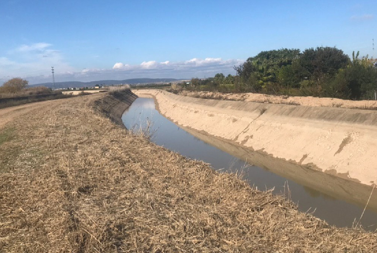 TRABAJOS DE DESBROCE EN LAS MÁRGENES DEL CANAL PRINCIPAL, ENTORNO DE LAS ESTACIONES DE BOMBEO Y TALUDES DE LAS BALSAS