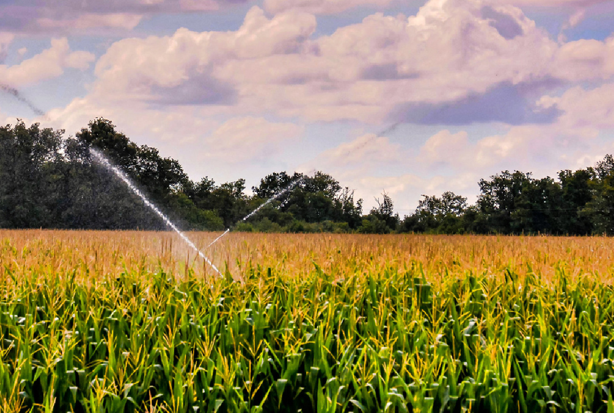 LA JUNTA LANZA UNA NUEVA ORDEN DE AYUDAS PARA LA MODERNIZACIÓN DE LAS EXPLOTACIONES AGRÍCOLAS