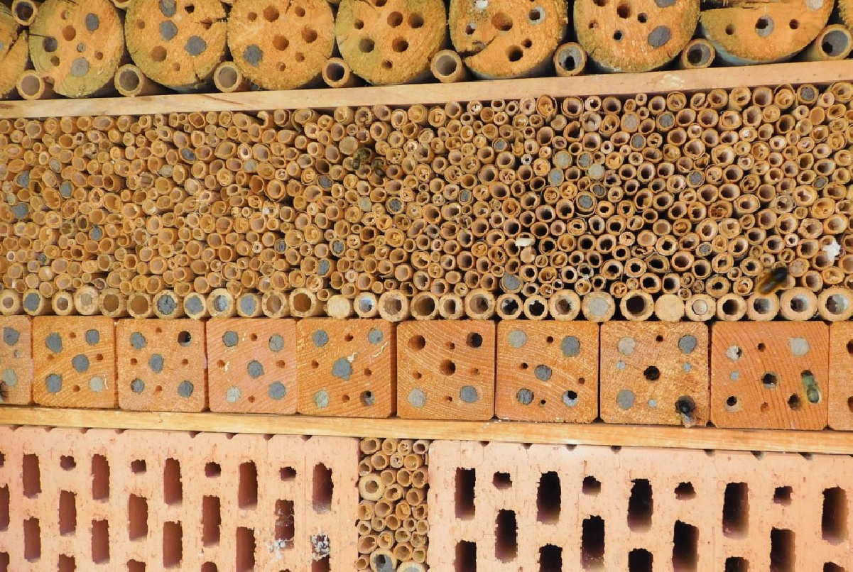 INSTALAMOS NUESTROS PRIMEROS CINCO HOTELES PARA INSECTOS