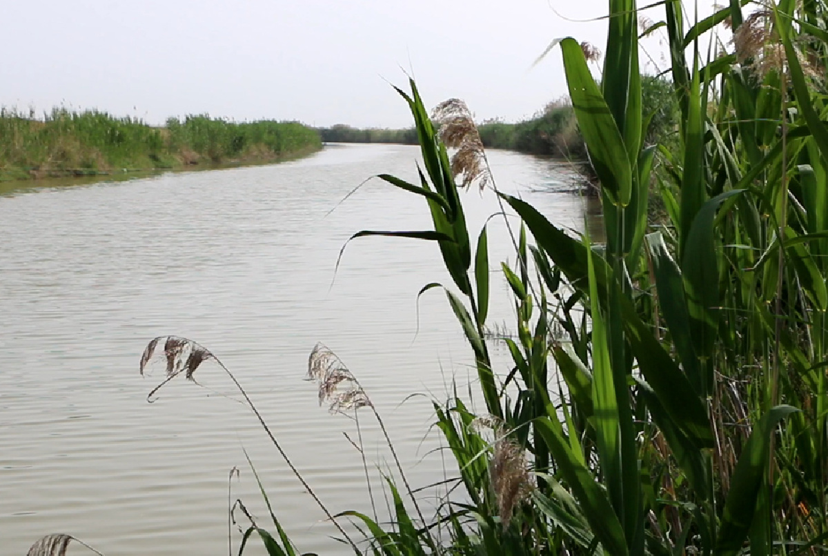 LAS EXTERNALIDADES POSITIVAS DEL REGADÍO, RECOGIDAS EN UN LIBRO DE FENACORE