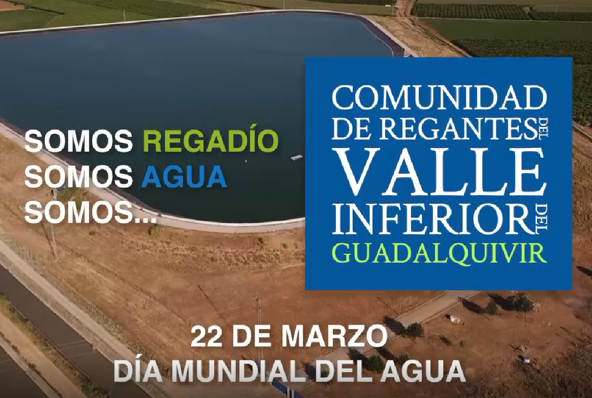 WE ARE WATER, MY FRIEND (EL 22 DE MARZO Y TODOS LOS DÍAS DEL AÑO)