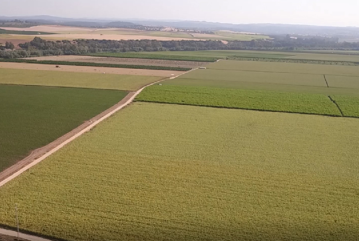 REGADÍOFOBIA: LA REALIDAD DESMONTA LA LEYENDA NEGRA CONTRA LA AGRICULTURA DE RIEGO