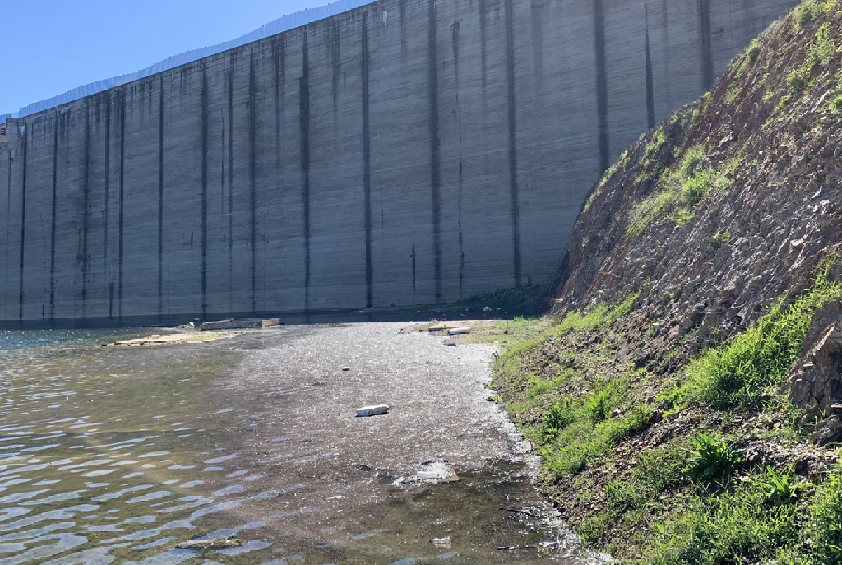 LA CARA POSITIVA DE LA ESCASEZ DE AGUA: SE PREVÉ UN MENOR IMPACTO DE LAS ESPECIES INVASORAS DURANTE LA CAMPAÑA