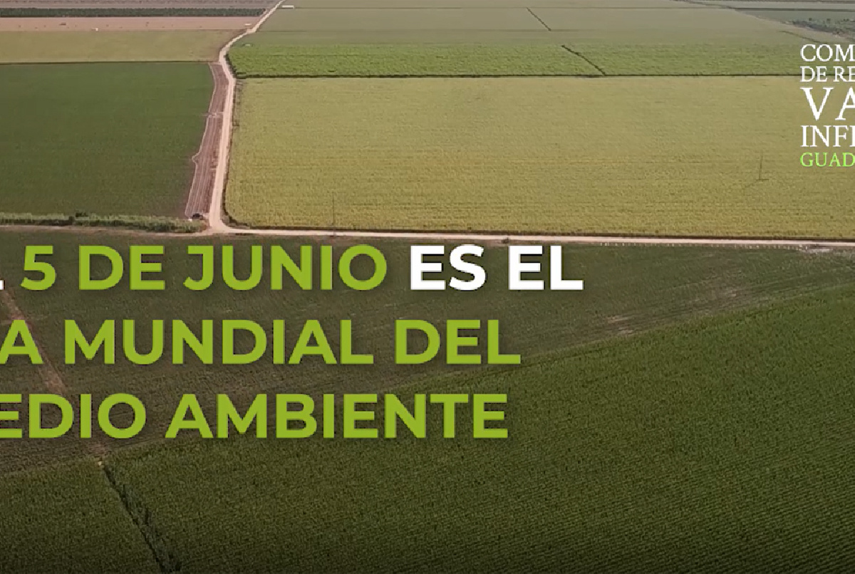 CADA DÍA ES PARA NOSOTROS UNA CELEBRACIÓN DEL MEDIO AMBIENTE