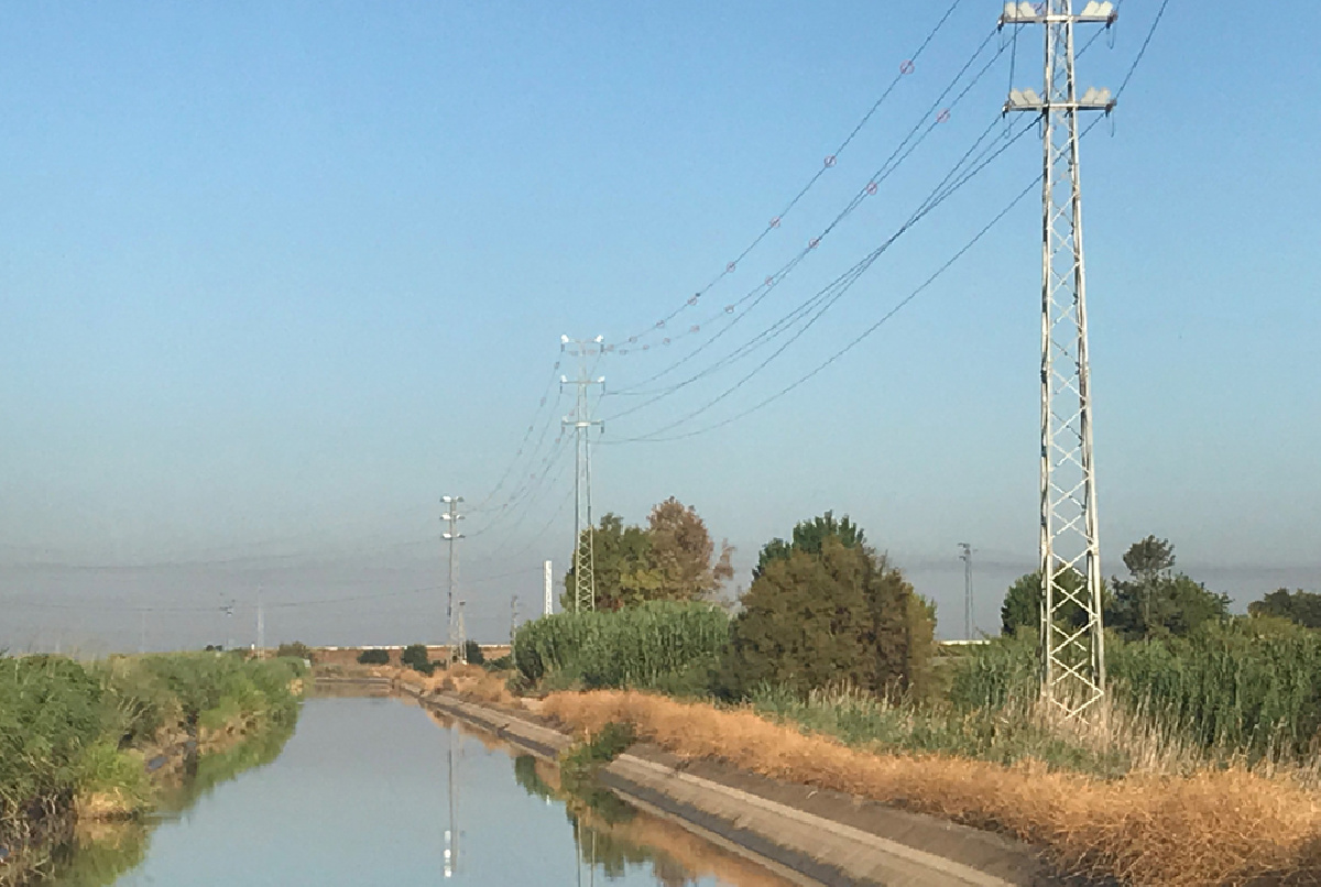 UN AÑO MÁS, LLEVAMOS A CABO LA REVISIÓN DE UN TRAMO DE NUESTRA LÍNEA ELÉCTRICA