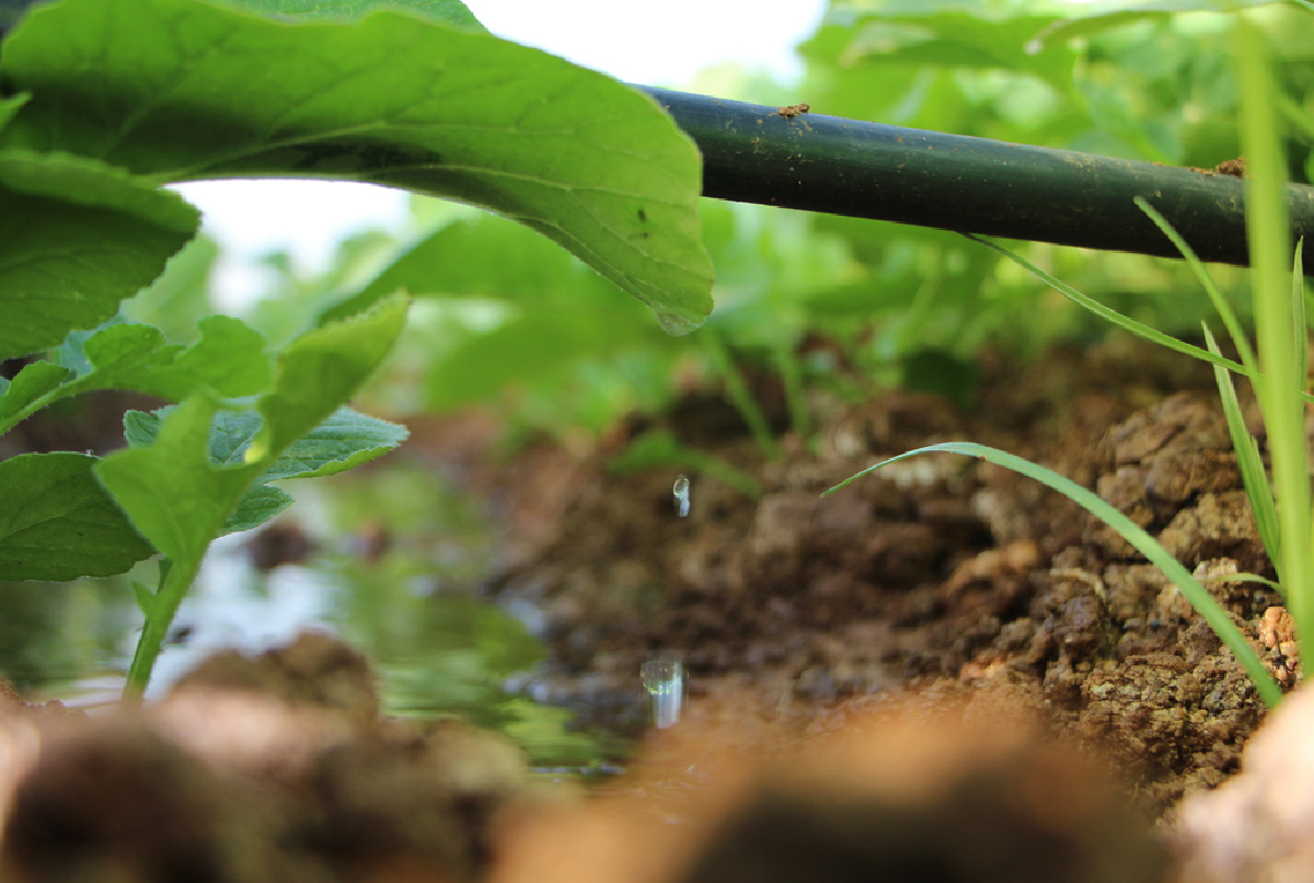 LA CAMPAÑA ALCANZA, A MEDIADOS DE SEPTIEMBRE, MÁS DE 350 ACUERDOS DE CESIÓN DE AGUA ENTRE REGANTES