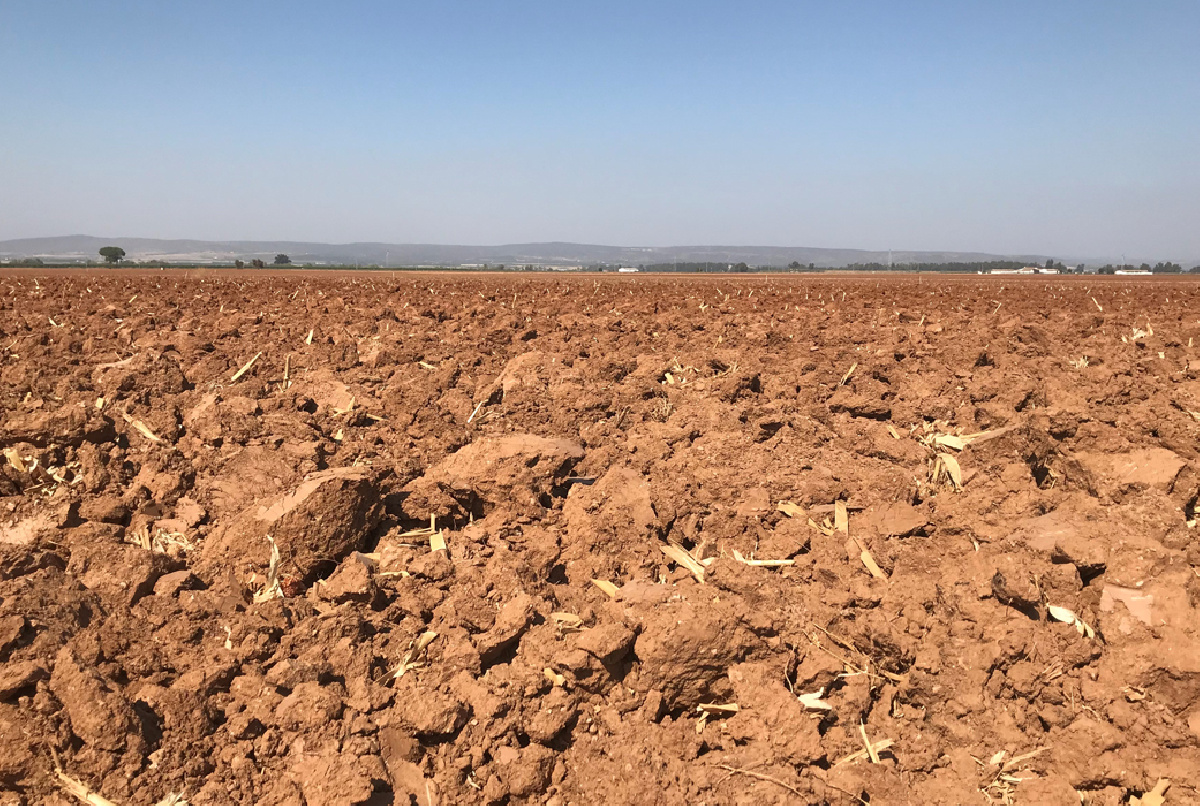 LA CHG ACTIVARÁ LA DECLARACIÓN DE SEQUÍA EN NOVIEMBRE