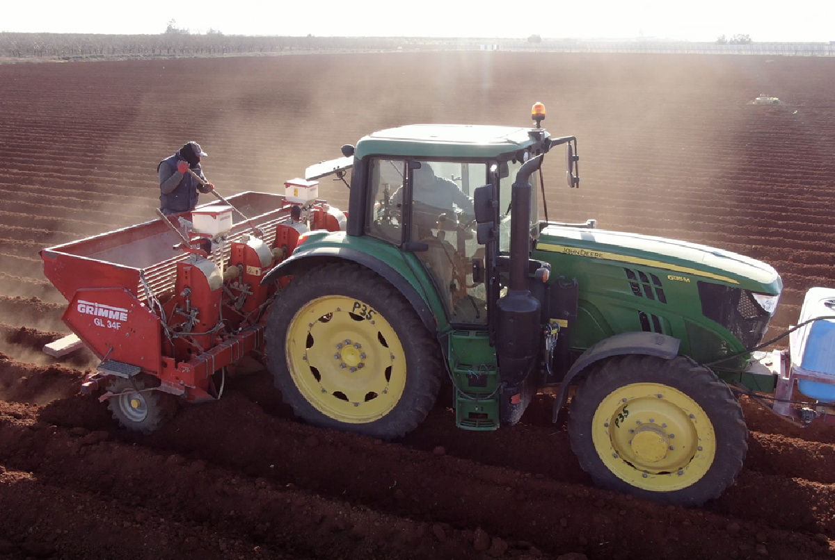 LAS LLUVIAS DE FINAL DE DICIEMBRE RETRASARON LA SIEMBRA DE LA PATATA, QUE COMENZÓ EN ENERO Y CONTINÚA DURANTE ESTOS DÍAS
