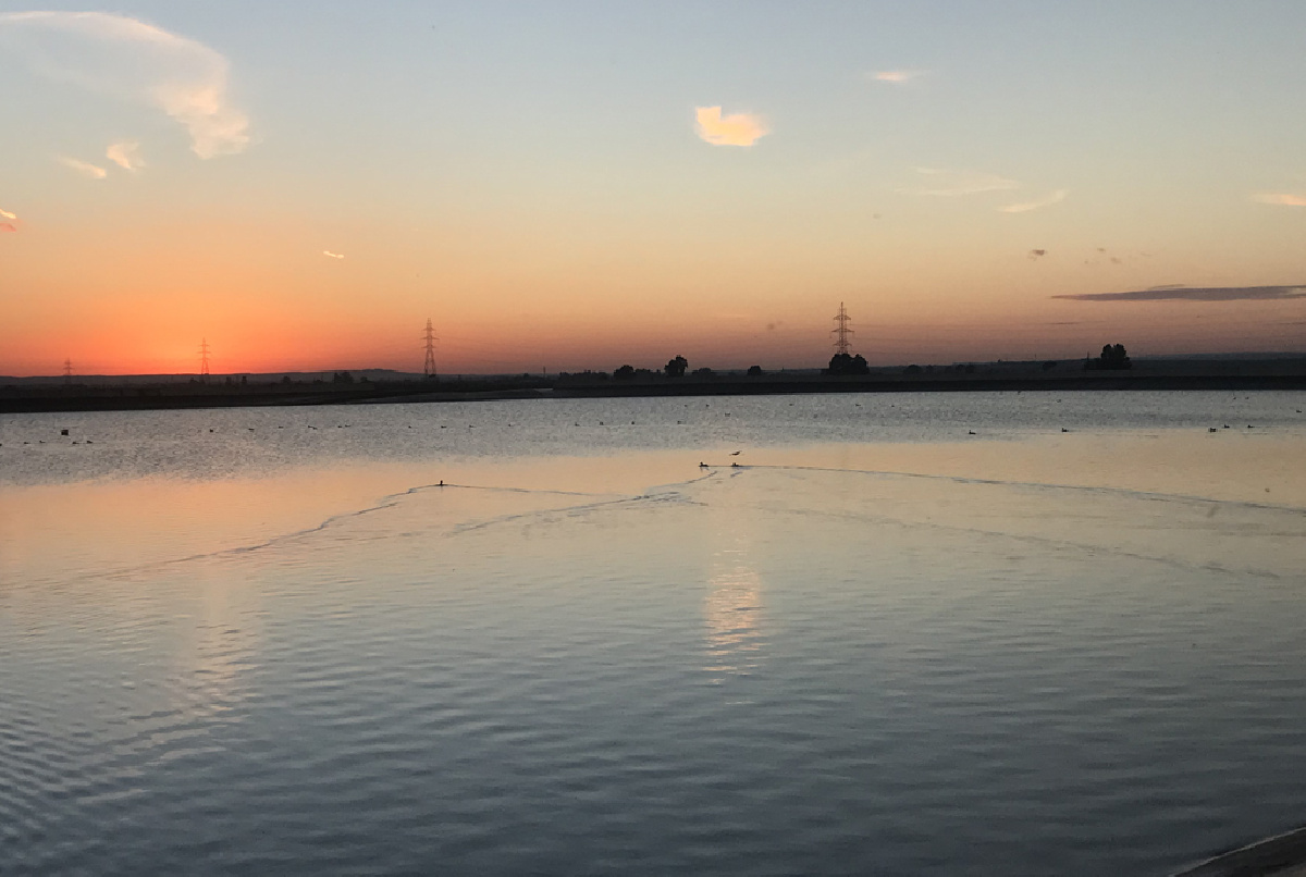 LAS BALSAS DE NUESTRA COMUNIDAD Y EL ESPECTÁCULO DE LA BIODIVERSIDAD