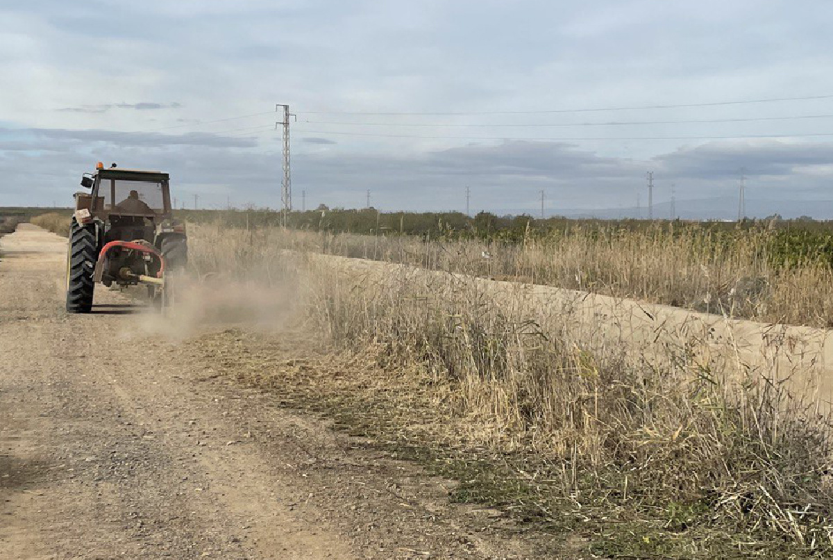 TRABAJOS DE DESBROCE EN EL ENTORNO DE LAS ESTACIONES DE BOMBEO Y MÁRGENES DEL CANAL PRINCIPAL