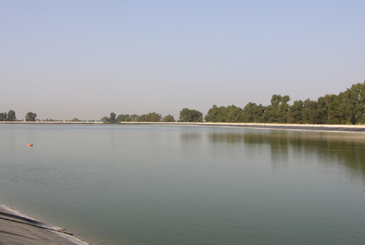 EL AGUA EMBALSADA EN NUESTRAS BALSAS NOS HA PERMITIDO MANTENER LOS RIEGOS DESDE ENERO