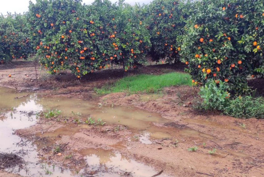 Benditas lluvias que nos están permitiendo recargar nuestras balsas