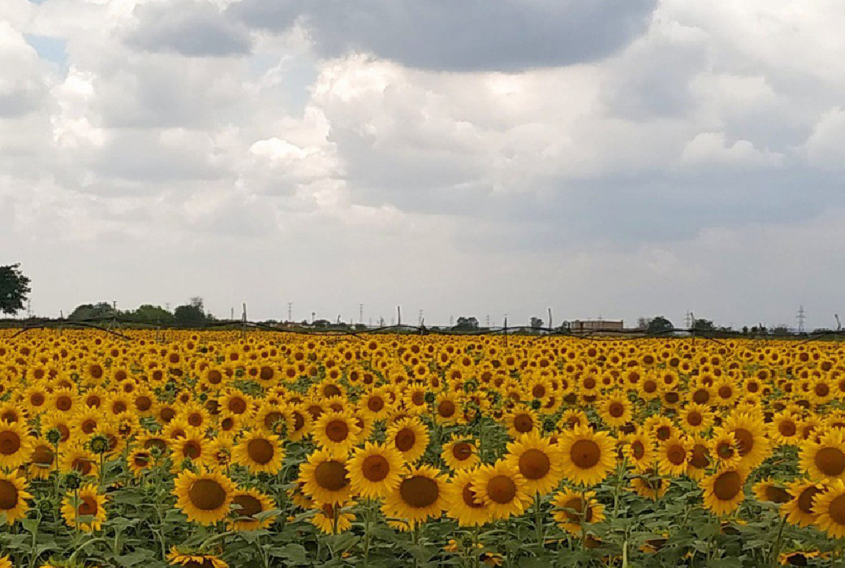 Las últimas lluvias provocan un cambio de tendencia en los niveles de los embalses del Sistema de Regulación General