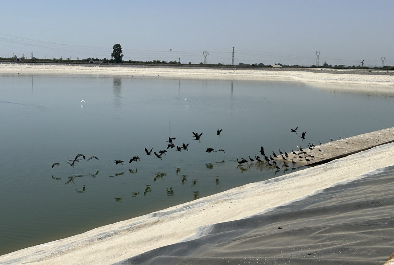 El volumen disponible en nuestras balsas a final de septiembre, permite prolongar la Campaña de Riegos durante dos semanas más