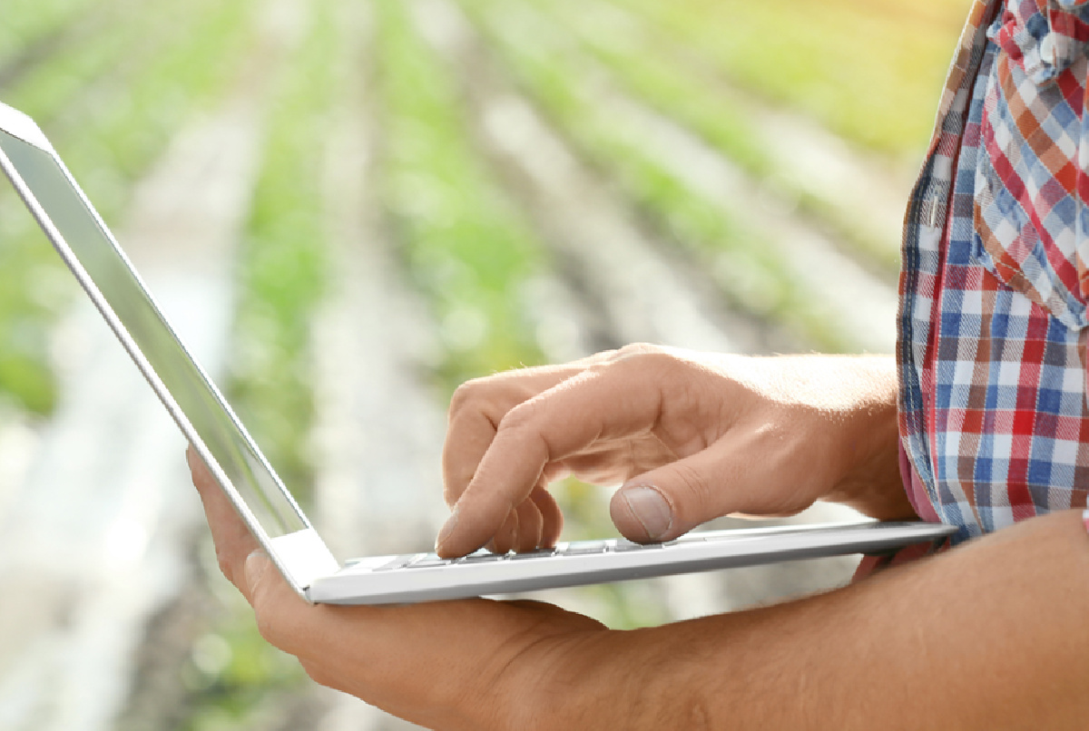 El Valle Inferior, una de las 124 comunidades de regantes que han presentado proyectos para recibir ayudas del PERTE Digital