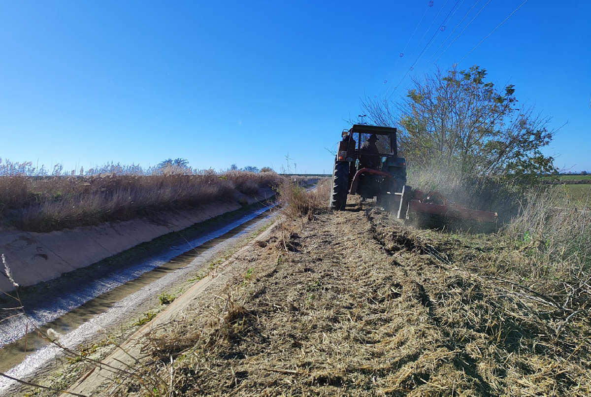 Trabajos de desbroce en las banquetas del Canal Principal y taludes de las balsas