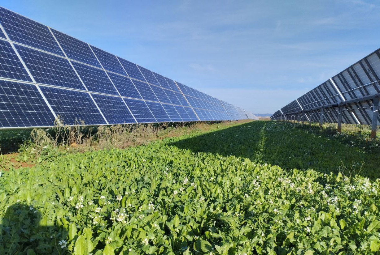 La caída del precio de la energía en las horas de generación solar refuerza la importancia de avanzar en las tecnologías de almacenamiento para crecer en autoconsumo