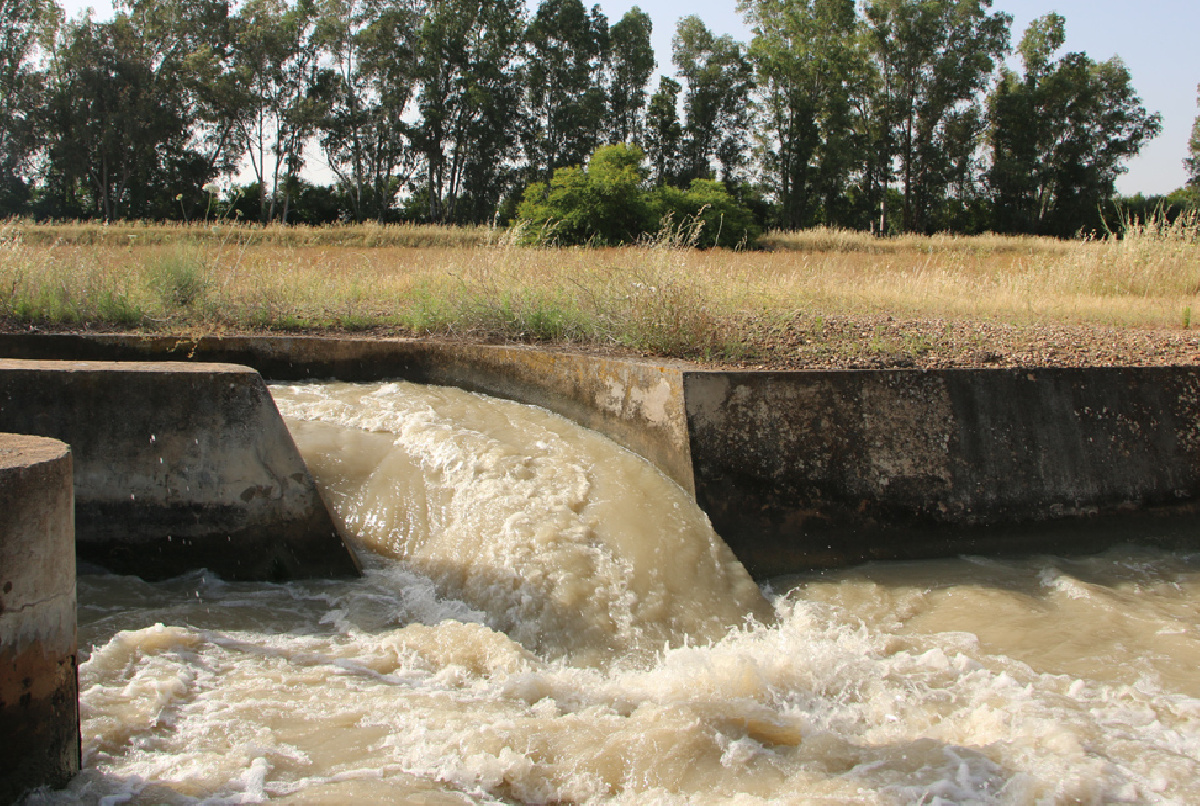 La Confederación autoriza el contrato de cesión de derechos firmado por segundo año consecutivo con la Comunidad del Genil Margen Izquierda