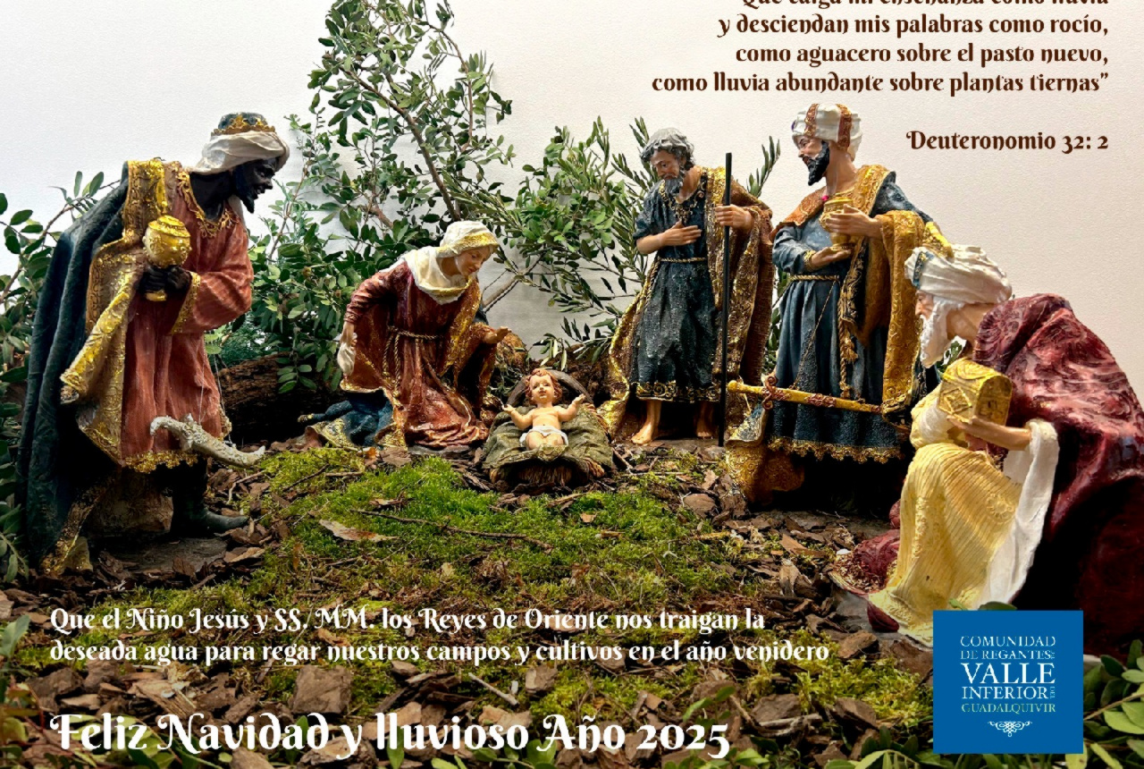 Feliz Navidad y lluvioso Año Nuevo 2025