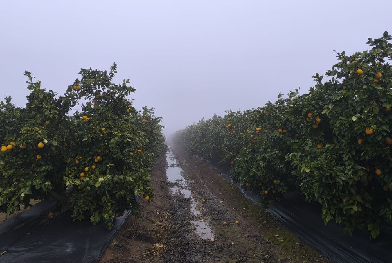 Los embalses recuperan niveles tras las lluvias de los últimos días: leve mejora en la disponibilidad de agua para la próxima campaña de riego