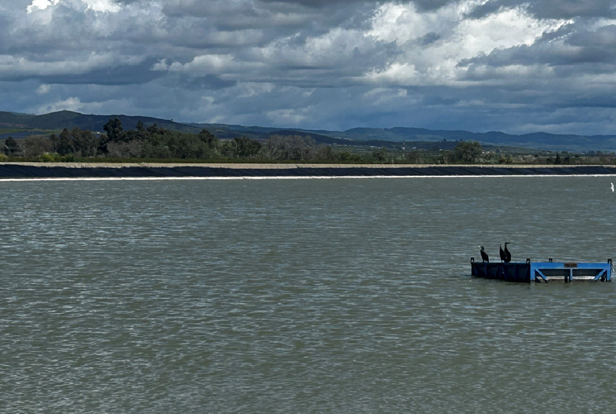 La Regulación General se pone al 44% y ¡subiendo!
