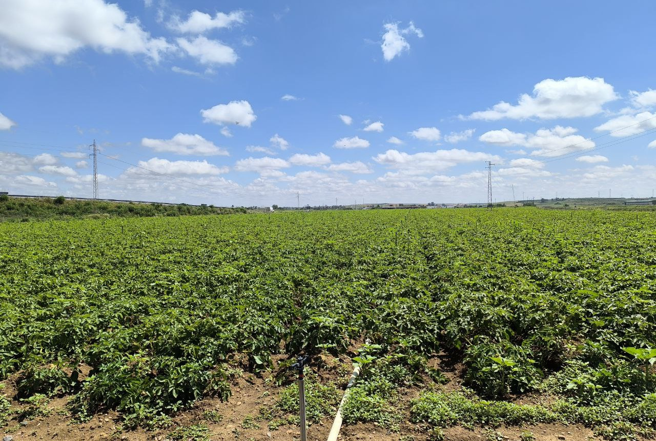 Arranca oficialmente la campaña de riegos en nuestra Comunidad