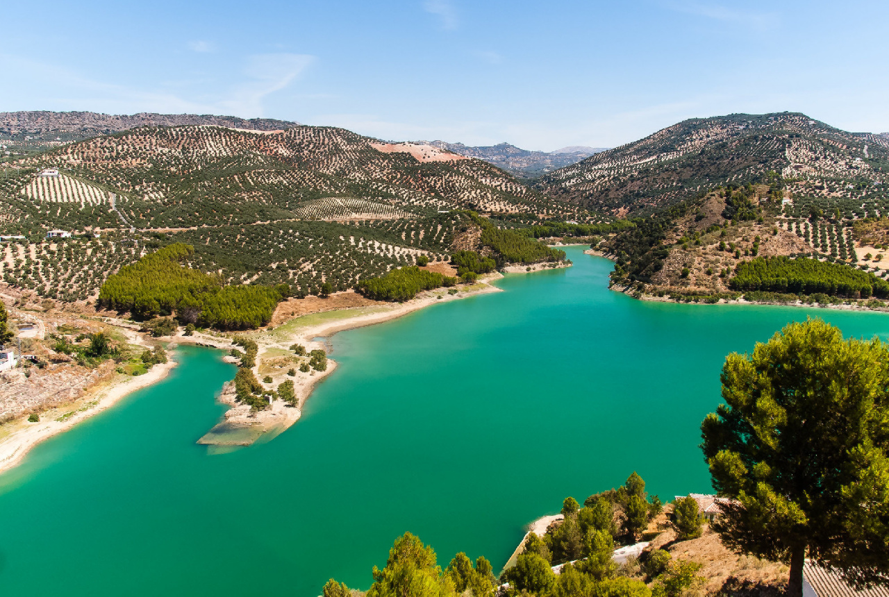 Seis embalses de la Regulación General, por debajo del 40% antes del inicio de la campaña