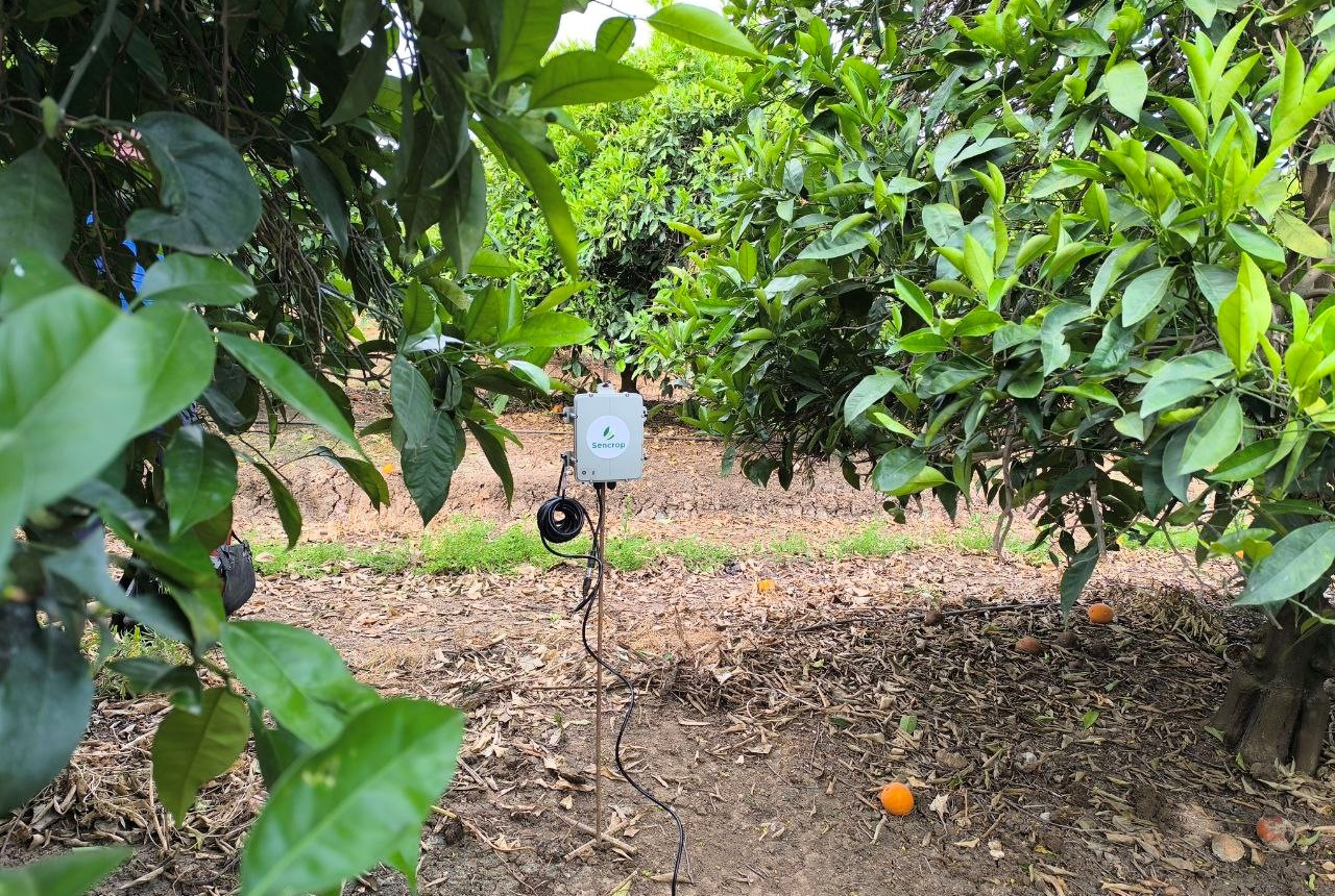 Ejecución de las primeras actuaciones del PERTE DIGITAL I: sondas de humedad y caudalímetros