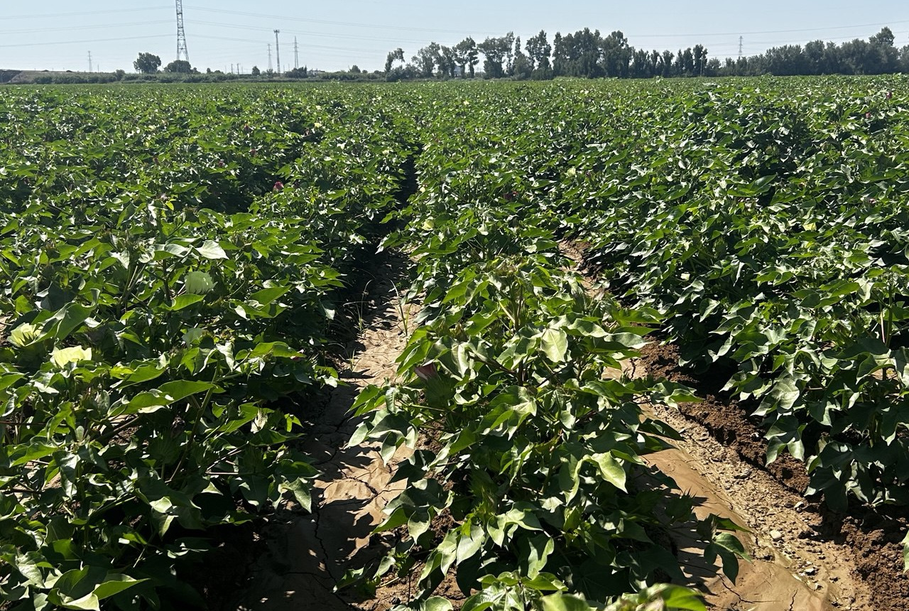 A un mes y medio de la finalización de la campaña, la dotación consumida se sitúa por debajo del 40% de la aprobada