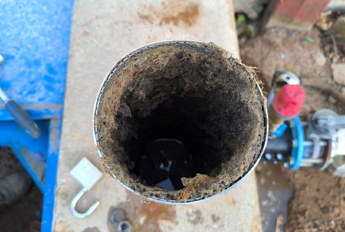 Taponazos por sectores para minimizar el impacto de las especies invasoras