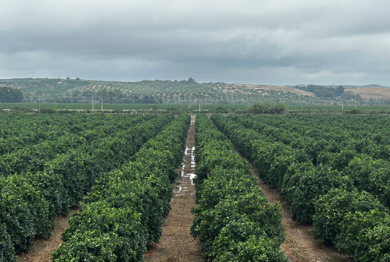 Los datos que dejaron en nuestra comunidad las precipitaciones 