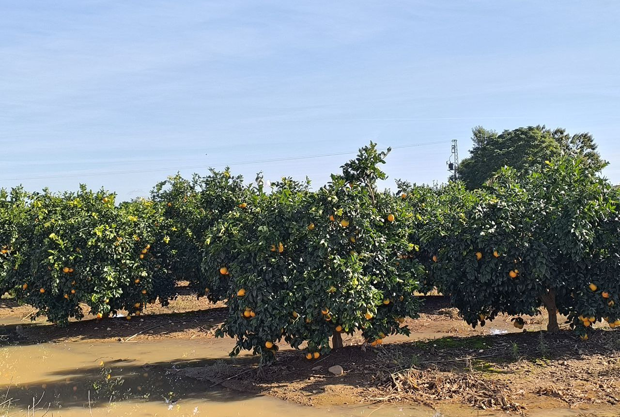 La borrasca Claudia inyecta un balón de oxígeno a la cuenca del Guadalquivir