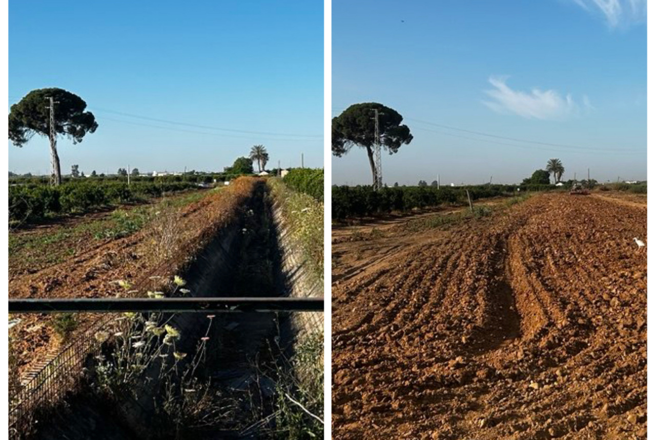 La adquisición de los terrenos de las antiguas acequias en desuso cobra pulso, con resultados extraordinarios para los nuevos propietarios