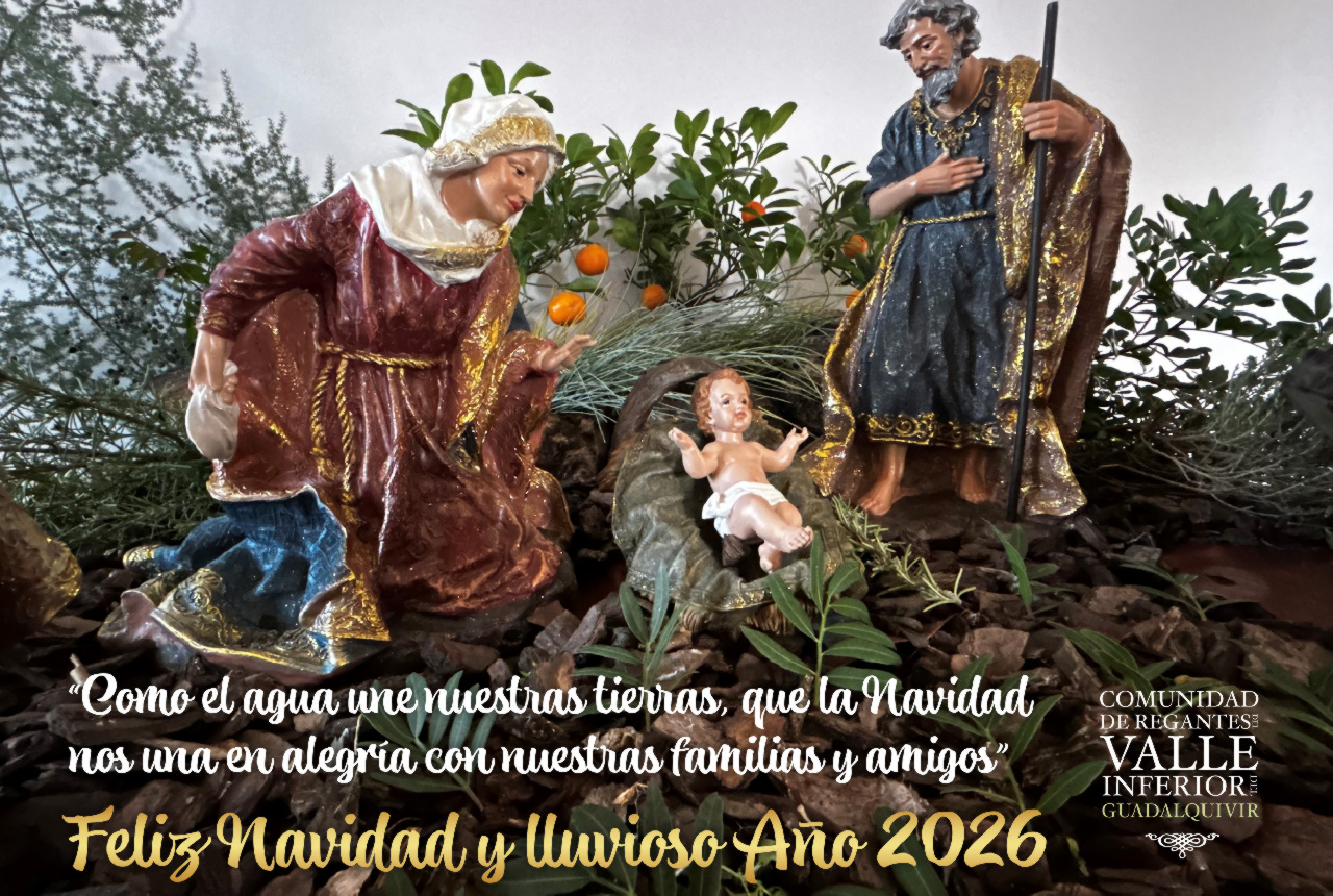 Feliz Navidad y lluvioso Año Nuevo 2026