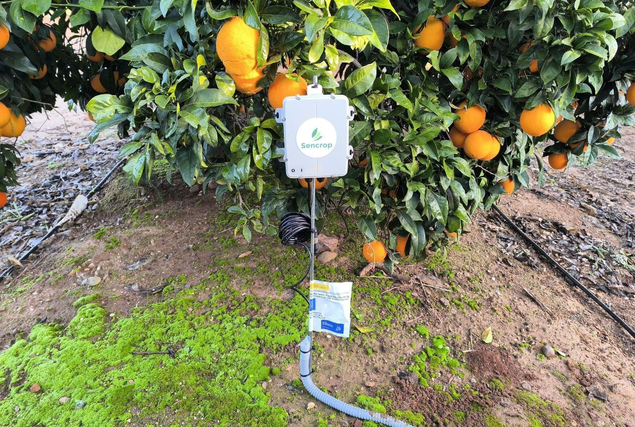 La Comunidad del Valle Inferior instalará un nuevo sistema SCADA y más de 600 contadores inteligentes con las ayudas del PERTE II