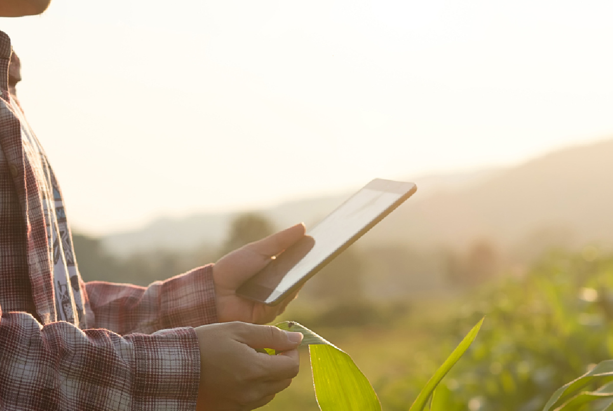 La Comunidad, adjudicataria de una ayuda de Red.es para impulsar su transformación digital