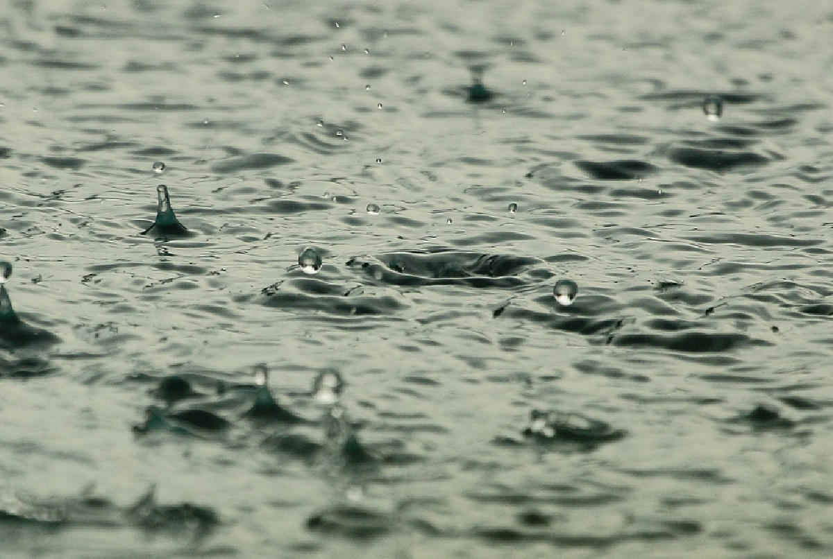 El primer trimestre del año hidrológico se cerró en la Cuenca con lluvias por encima de la media histórica y la Regulación General al 36,5%