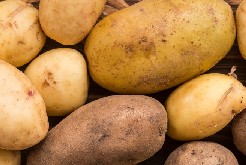 La siembra de la patata, trigo y otros cultivos de otoño, retrasada y muy perjudicada por las lluvias de noviembre y diciembre