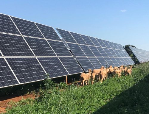 Producimos energía, pero la red no la quiere: tenemos que volver a readaptarnos, la hora de las baterías ha llegado