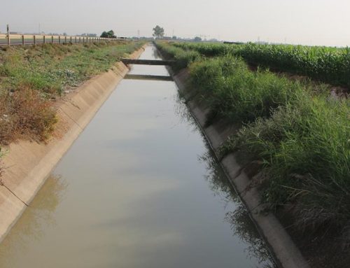 La salinidad del agua sigue el patrón habitual de campañas anteriores