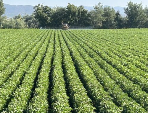 La Comunidad completará con recursos propios la renovación integral de su sistema de telecontrol