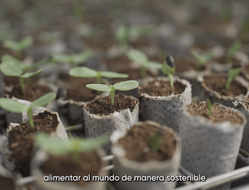 Corteva, referente en innovación tecnológica aplicada a semillas, protagoniza el segundo vídeo de las empresas de nuestro entorno