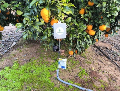 Más agua, más digitalización y un regadío cada vez más eficiente, el balance de 2025 en el Valle Inferior